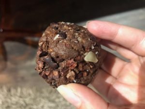 Chocolate Chunk Prebiotic Plant Protein Energy Balls