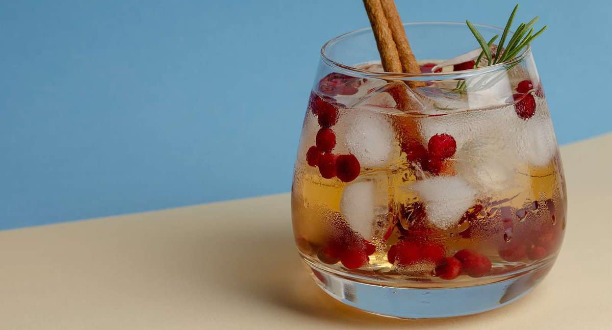Holiday Kombucha Spritzer Mocktail : The Better Nutrition Program